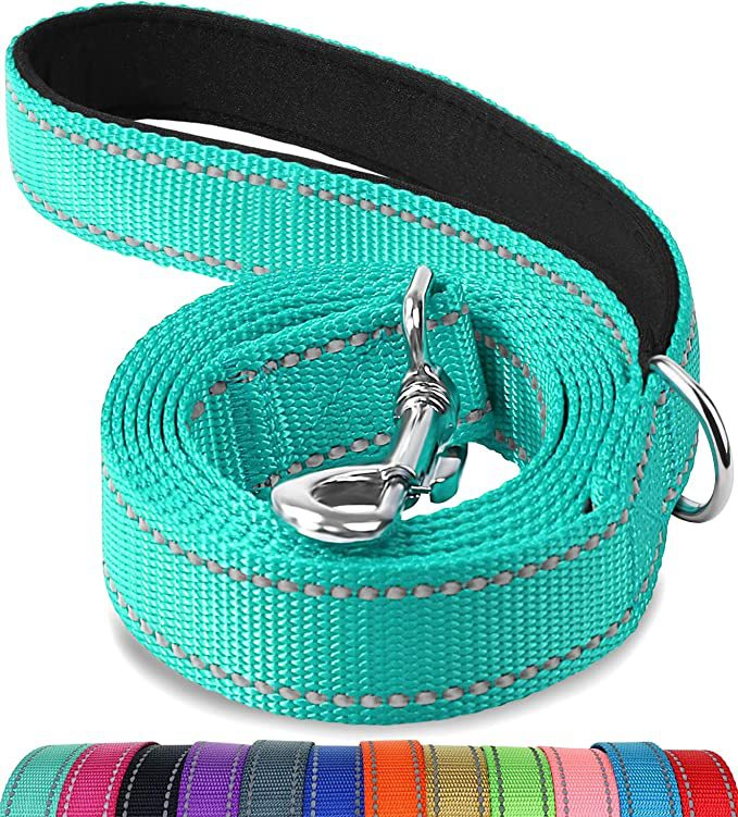 Reflective Dog Lead