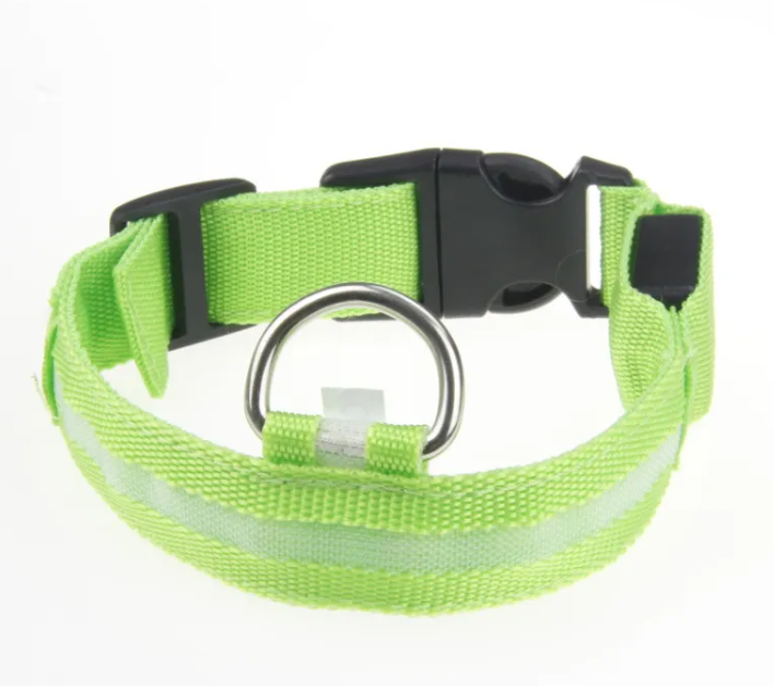 LED Light-Up Dog Collar – Rechargeable & Visible