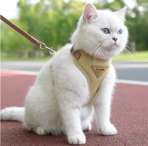 Small Dog Harness & Lead Set – Anti-Escape