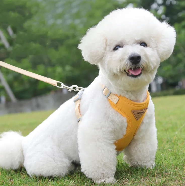 Small Dog Harness & Lead Set – Anti-Escape