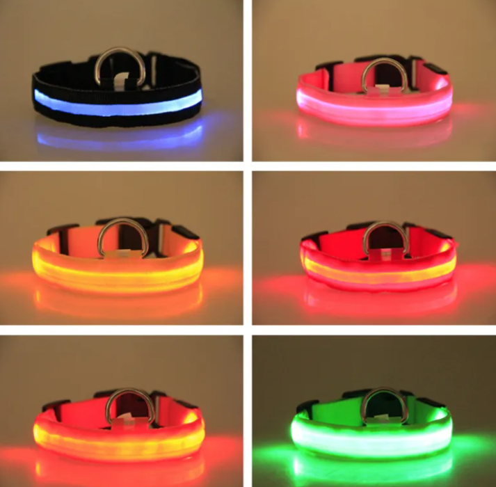 LED Light-Up Dog Collar – Rechargeable & Visible