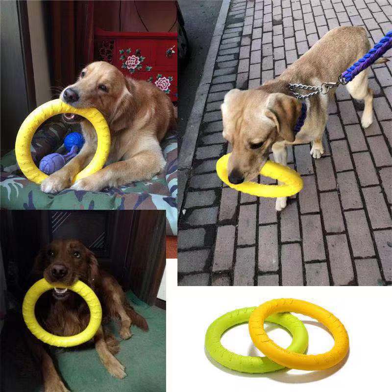 Dog Flying Disc & Training Ring – Fetch Toy for Water & Outdoor Play