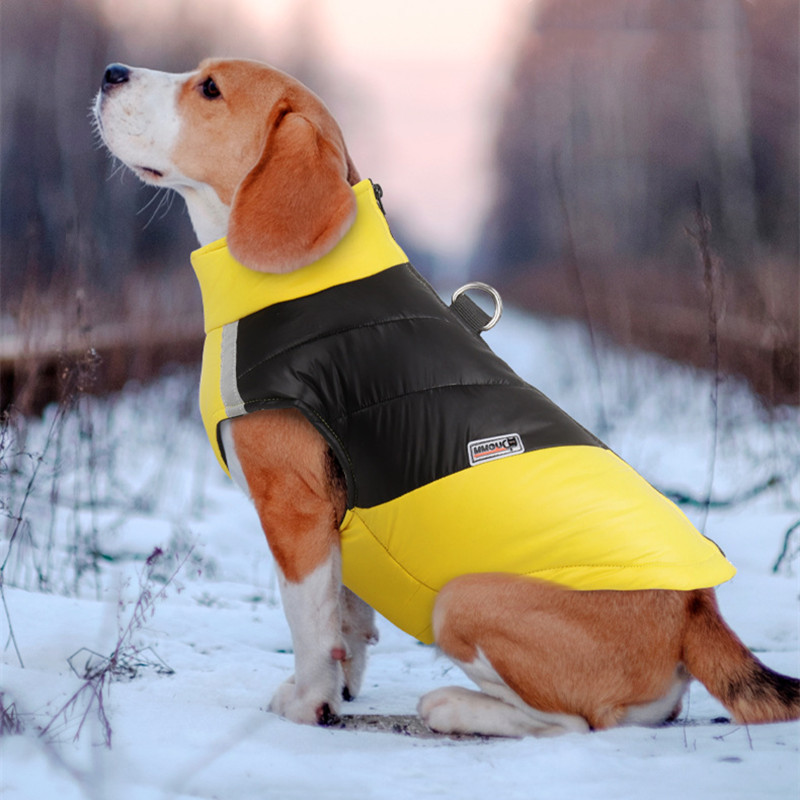 Waterproof Reflective Dog Jacket – Windproof & Warm | S–5XL