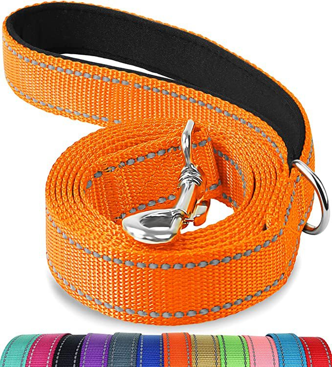 Reflective Dog Lead