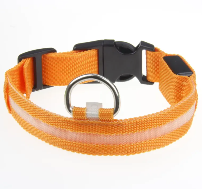 LED Light-Up Dog Collar – Rechargeable & Visible