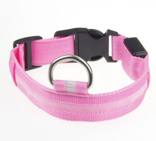 LED Light-Up Dog Collar – Rechargeable & Visible