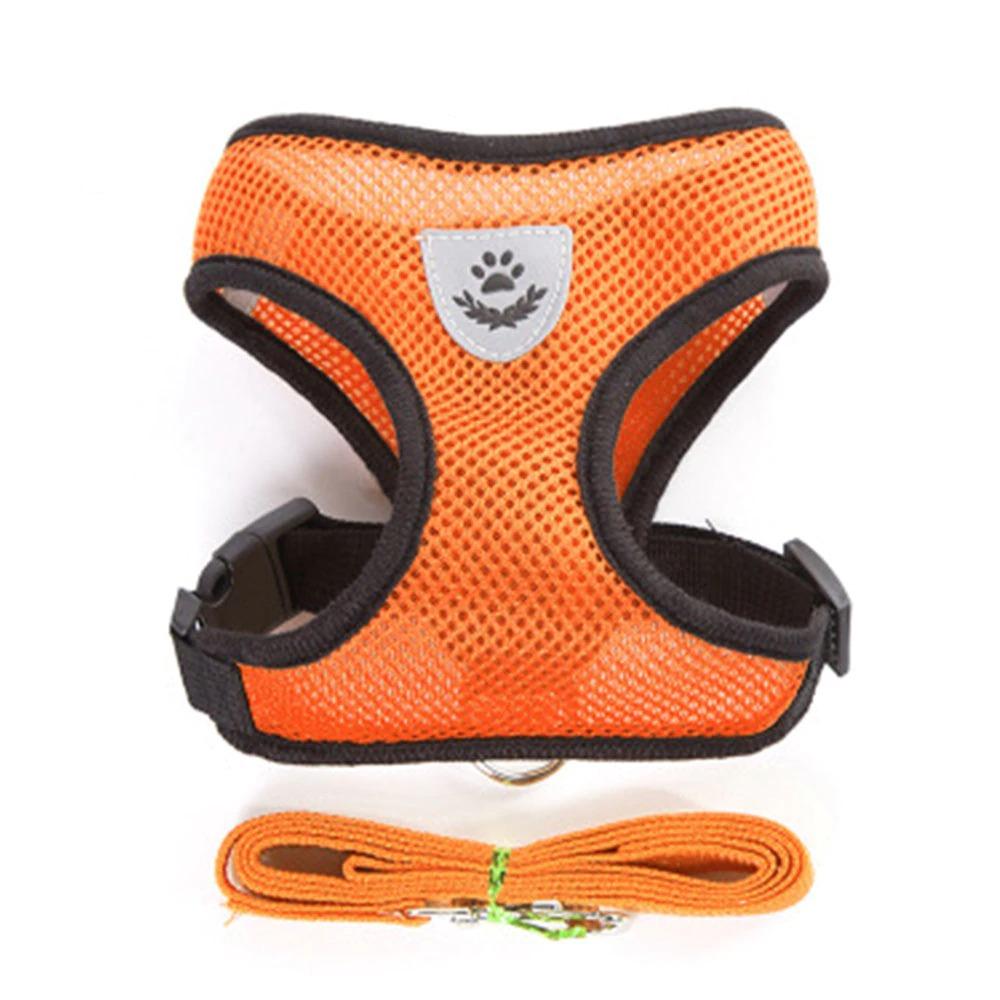 Dog Chest Harness with Lead