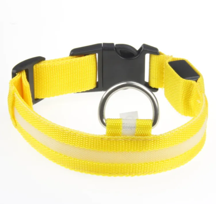 LED Light-Up Dog Collar – Rechargeable & Visible