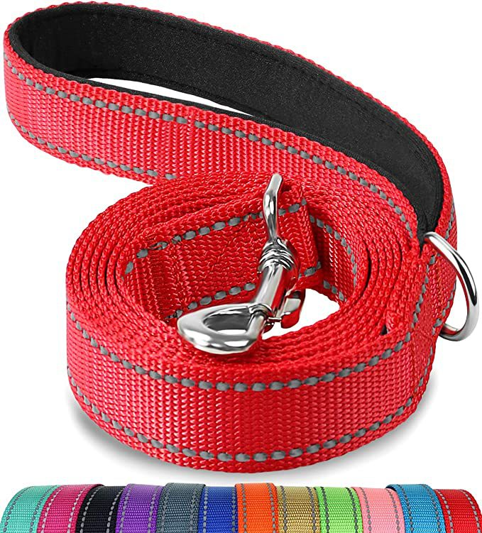 Reflective Dog Lead