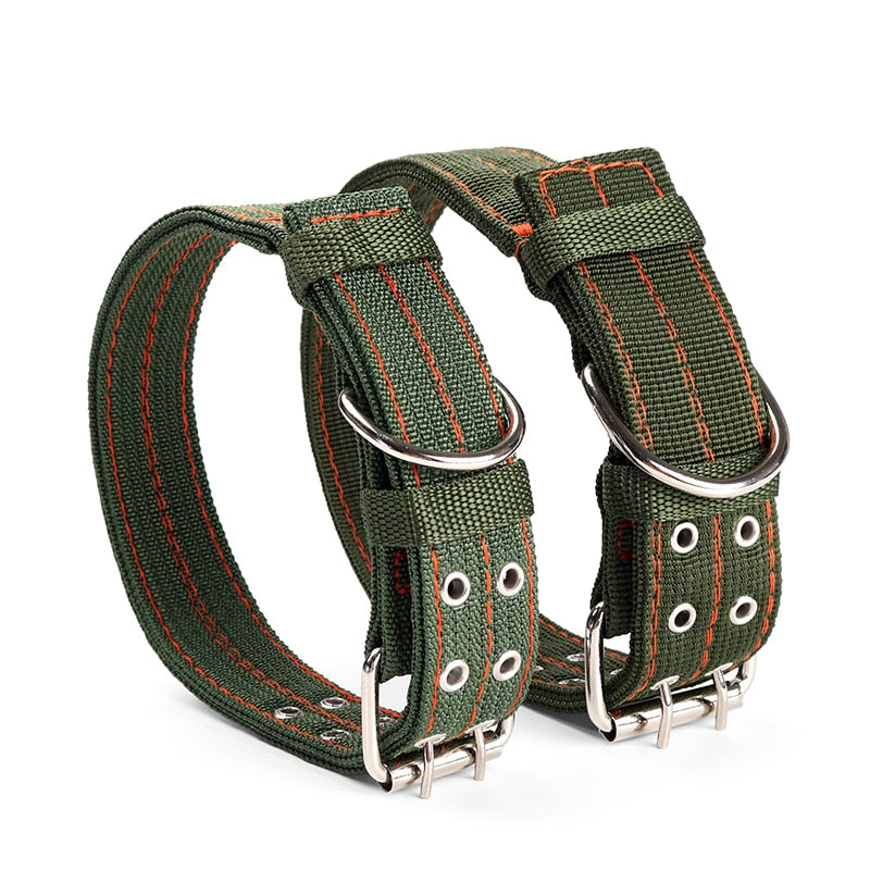Nylon Dog Collar – Lightweight & Durable