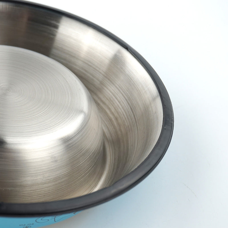 Colourful Stainless Steel Dog Bowl – Non-Toxic & Easy Clean