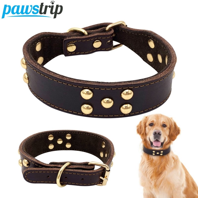Leather Dog Collar – Mushroom Nail Detail | Brown | S, M, L