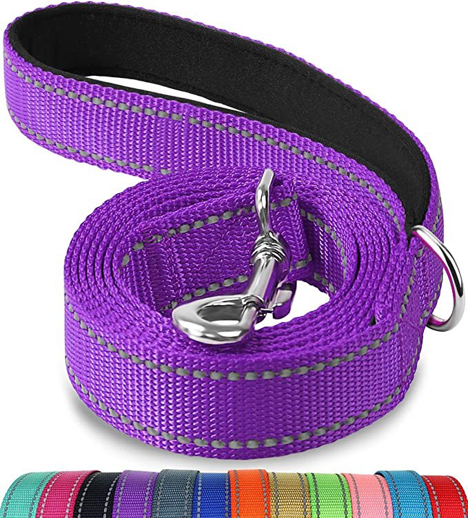 Reflective Dog Lead