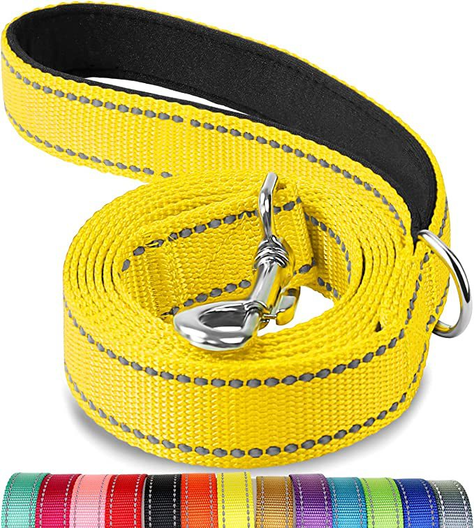 Reflective Dog Lead