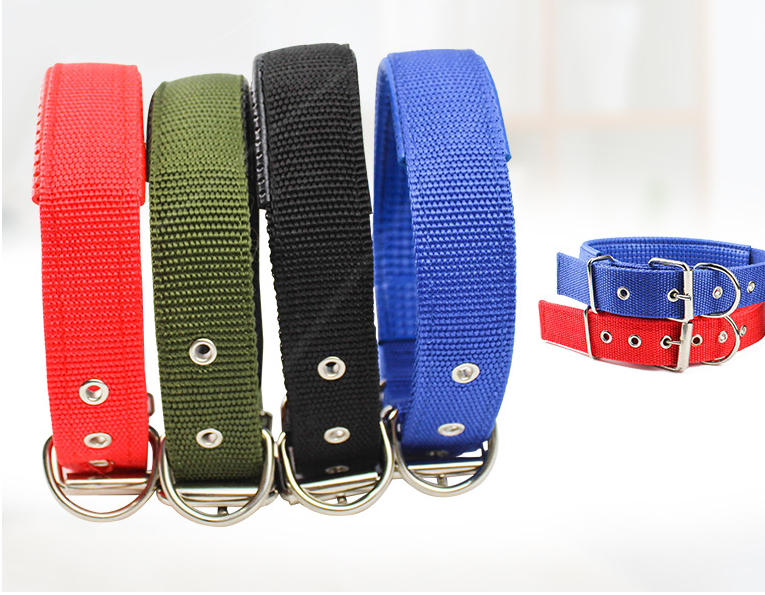 Nylon Dog Collar – Lightweight & Durable