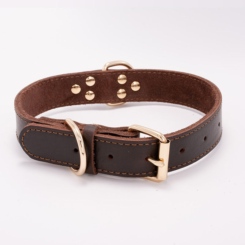 Leather Dog Collar – Mushroom Nail Detail | Brown | S, M, L