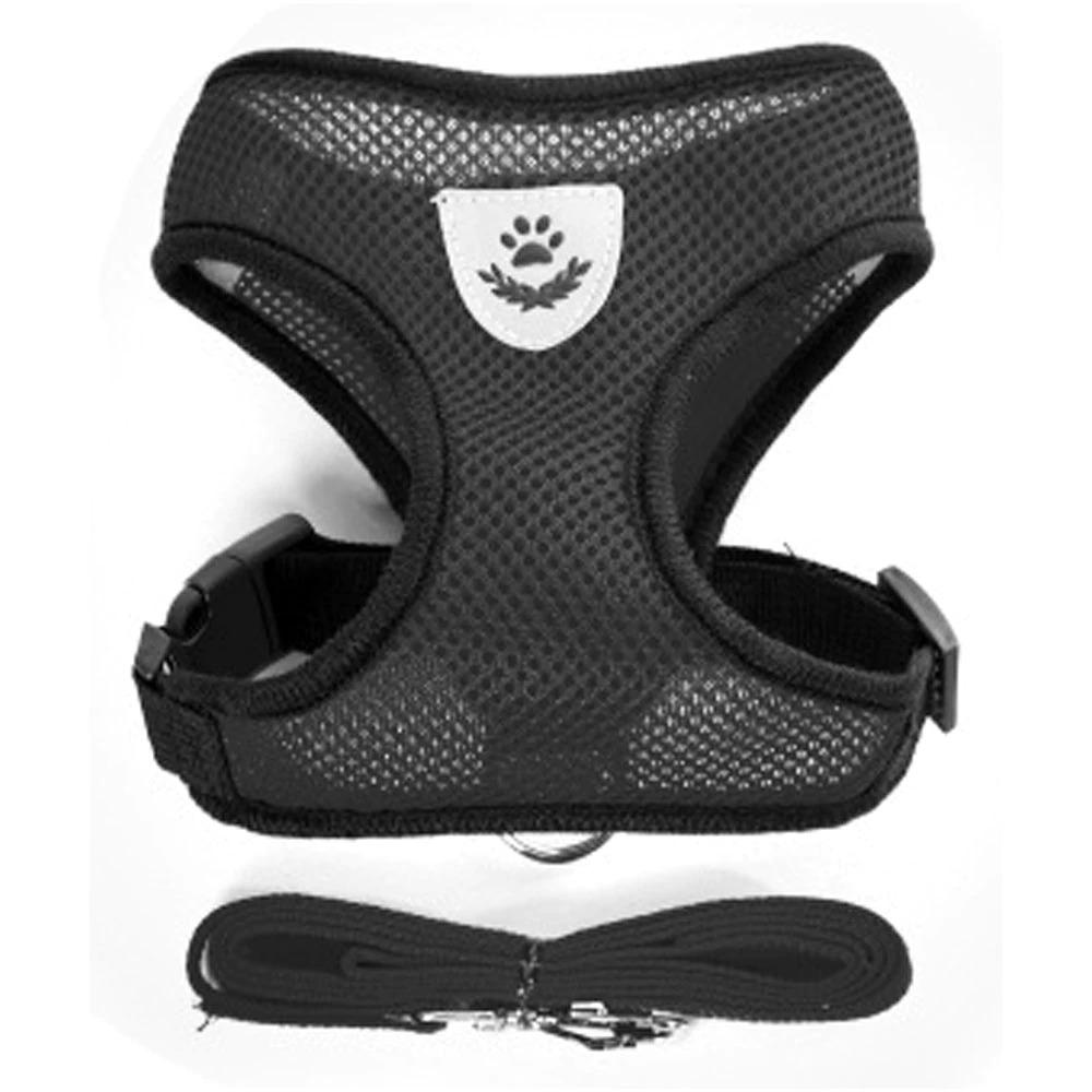 Dog Chest Harness with Lead