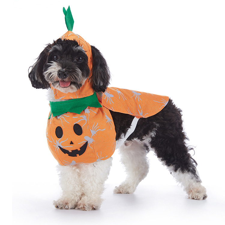 Halloween Dog Costume – Novelty Character Designs | S, M, L, XL