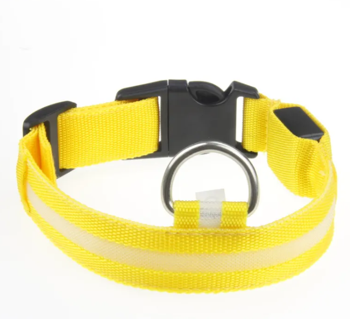 LED Light-Up Dog Collar – Rechargeable & Visible