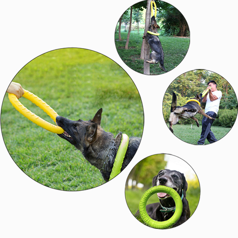 Dog Flying Disc & Training Ring – Fetch Toy for Water & Outdoor Play