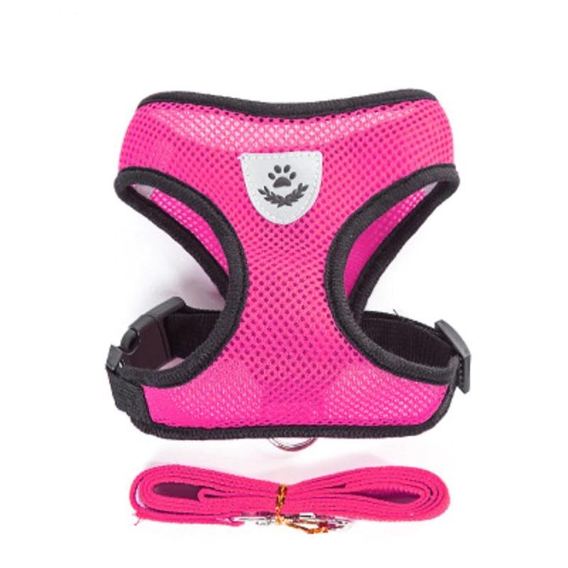 Dog Chest Harness with Lead