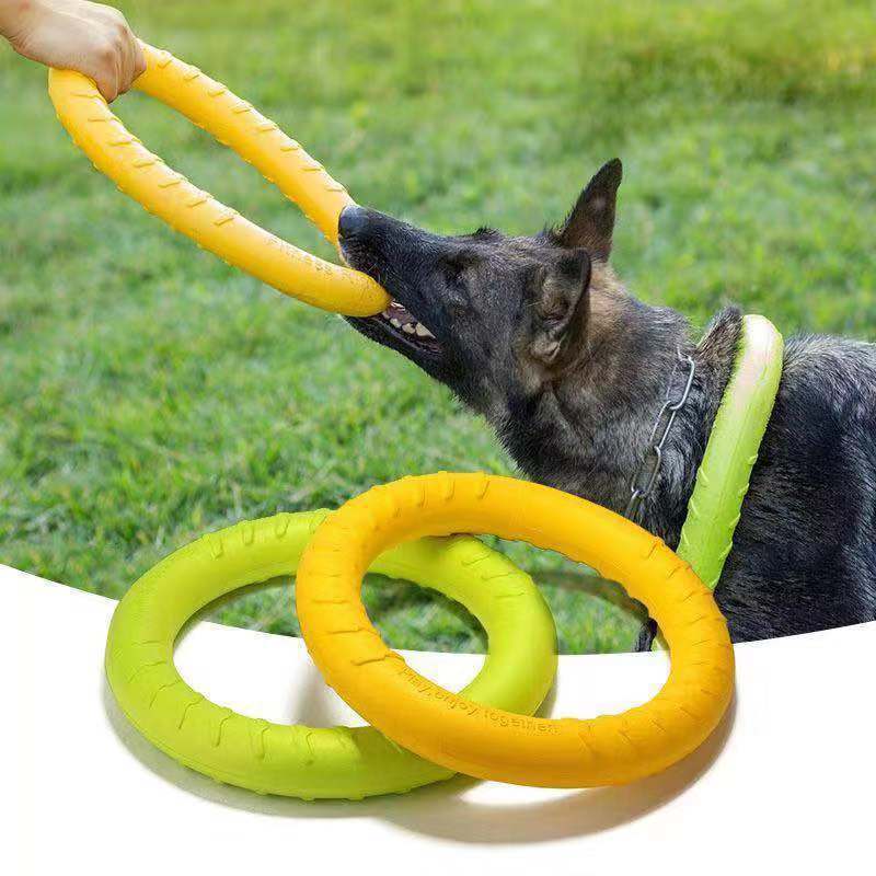 Dog Flying Disc & Training Ring – Fetch Toy for Water & Outdoor Play