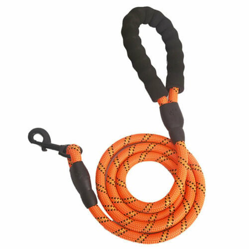 Reflective Braided Dog Lead – 3M Nylon Walking Rope
