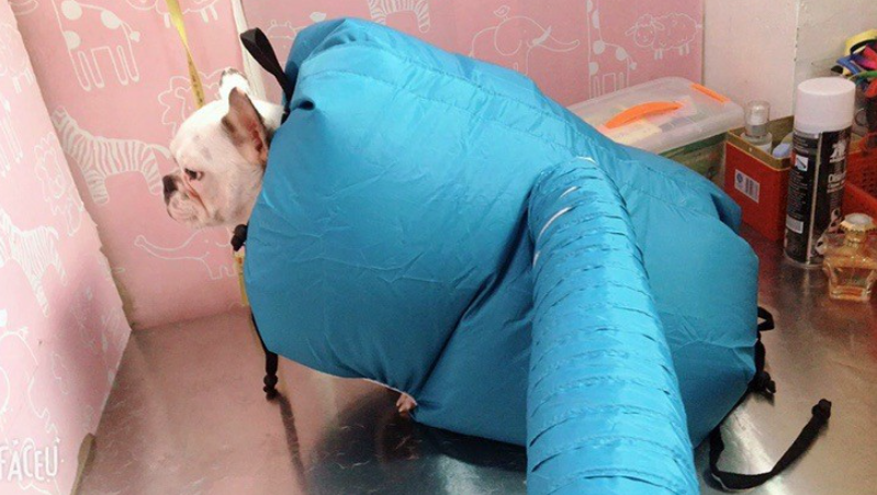 Dog Drying Bag – Quick-Dry Oxford Cloth Pet Dryer | S, M, L
