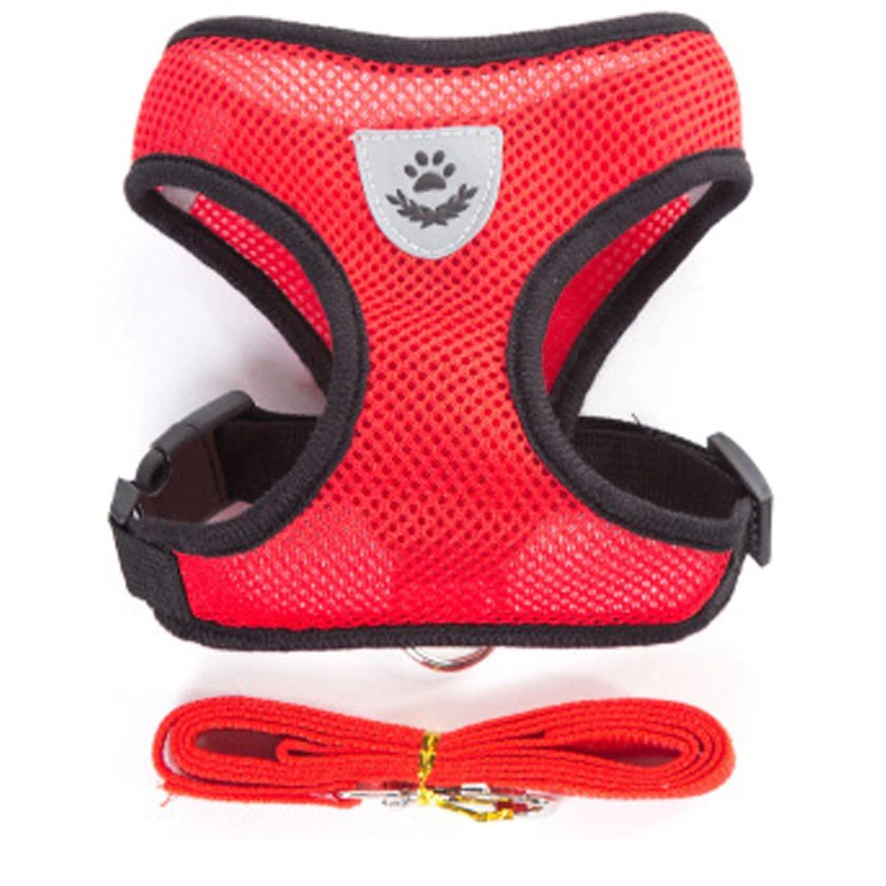 Dog Chest Harness with Lead